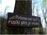 Gozd - Tolsti vrh